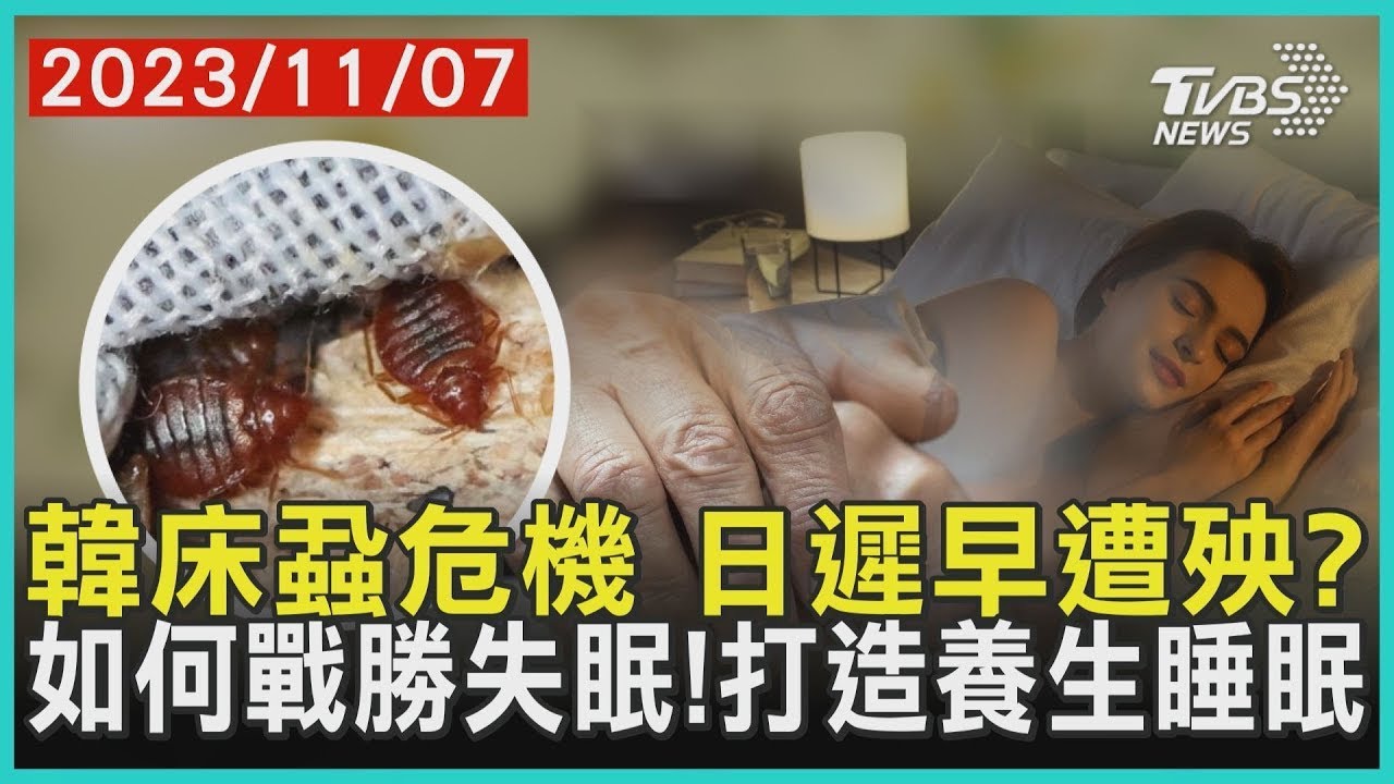 韓床蝨危機 日遲早遭殃? 如何戰勝失眠!打造養生睡眠| 十點不一樣 20231107