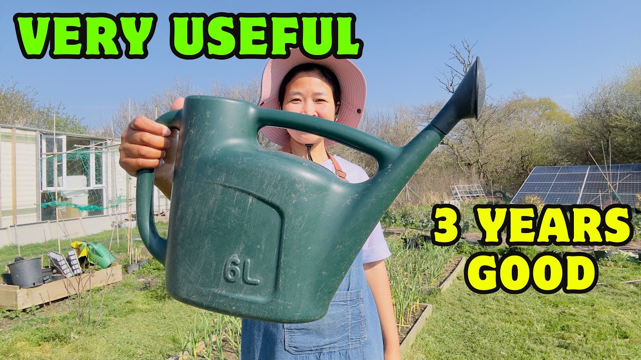 Very useful Watering Can with Long Spout |3 Years of Garden Use!
