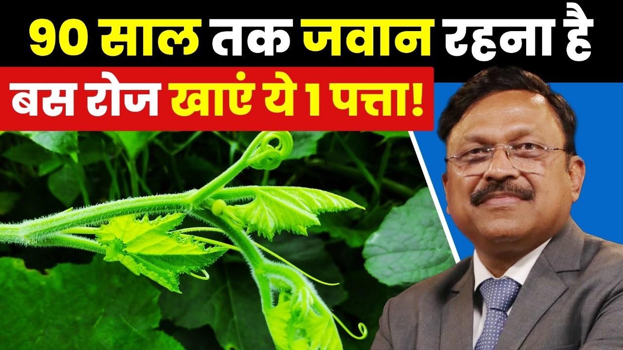 90% लोग नहीं जानते इस जादुई पत्ते का राज! | Bottle Gourd Leaf Benefits | Dr. Bimal Chhajer | SAAOL