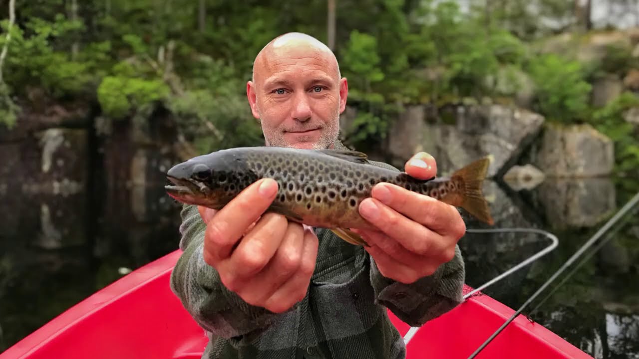 Lake fishing for trout in Norway -  On vacation with Tales From the Willows - 4K