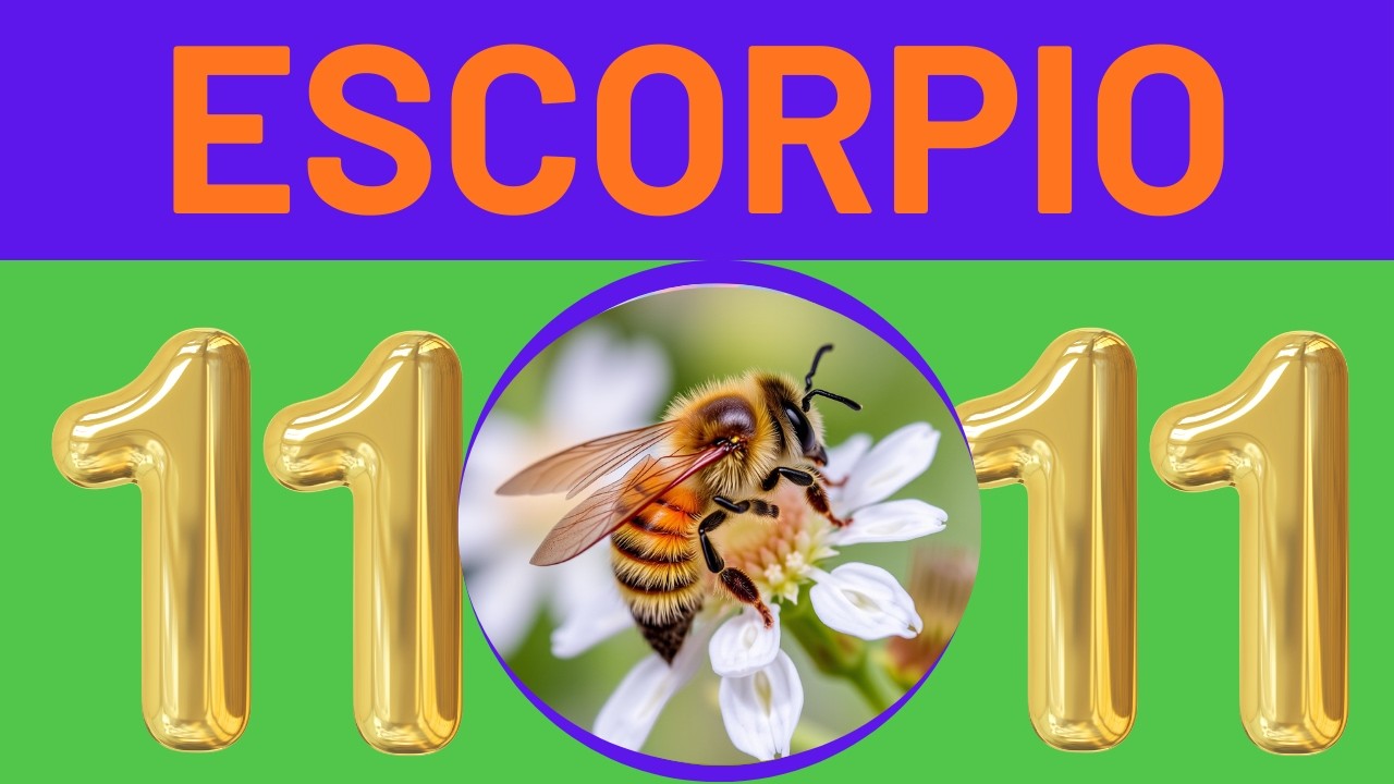 DE GOLPE ESCORPIO🚨 ESTA TAROTISTA ES TAN EXACTA QUE DA MIEDOOOO 🎉✅🍀📞🎁 💸🙏HOROSCOPO 📢 ORACULO TAROT
