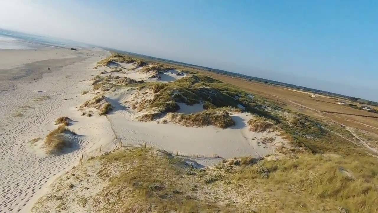 Parrot Disco - La Torche
