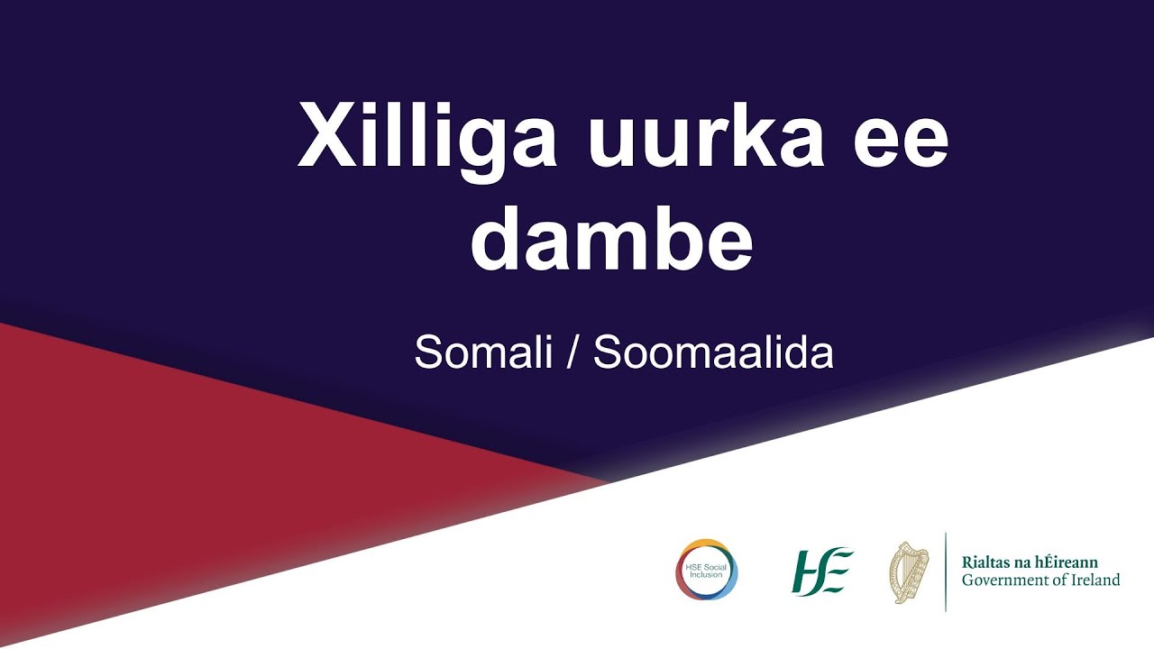 My Health, My Language - Preparing for the birth of a baby Somali/Soomaali