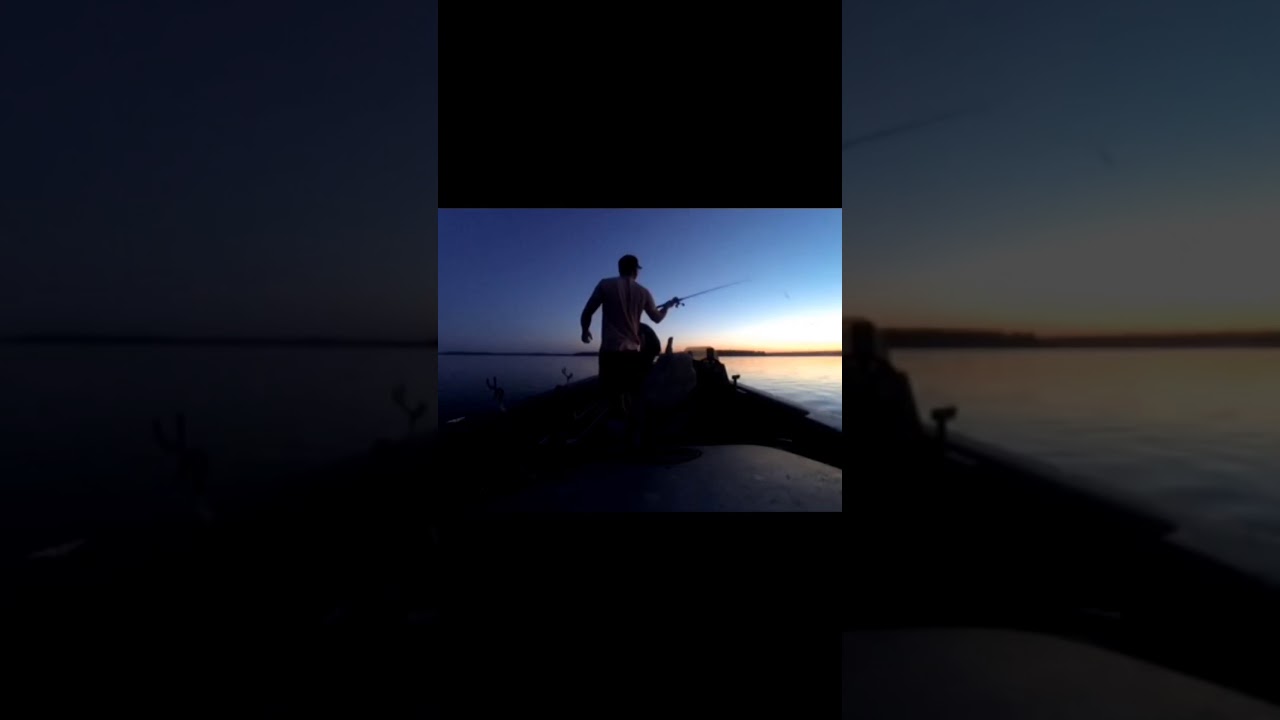 Catfishing with We B PoU No? Low stink high yield Dough Bait
