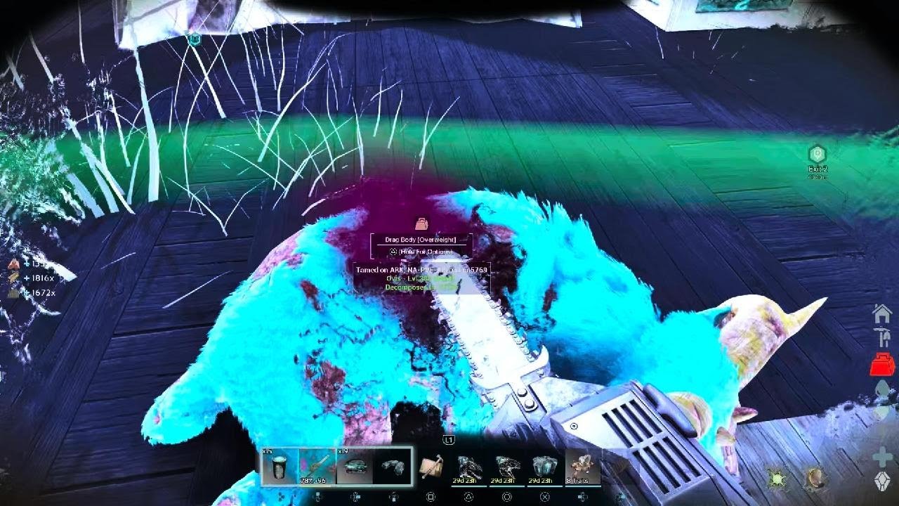 Ovis farming for hide and pelt