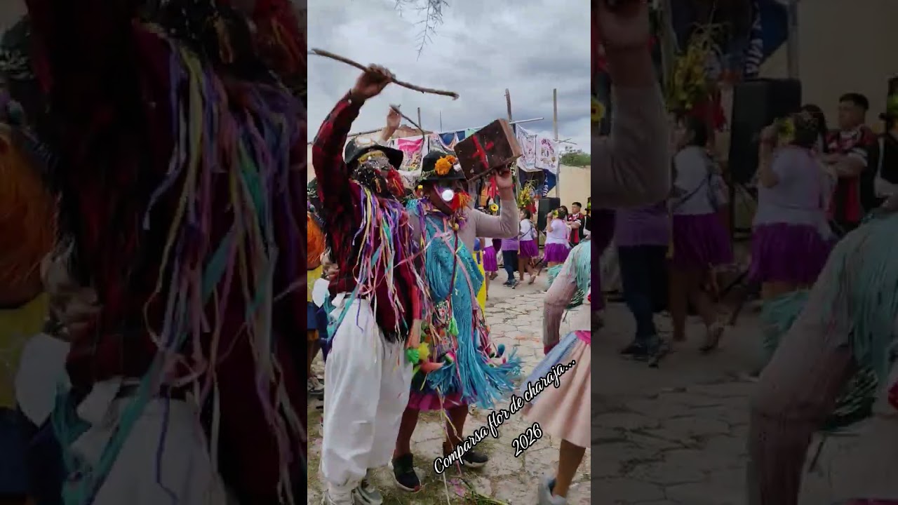 Comparsa Flor de Charaja 2026 Entrada en Suipacha