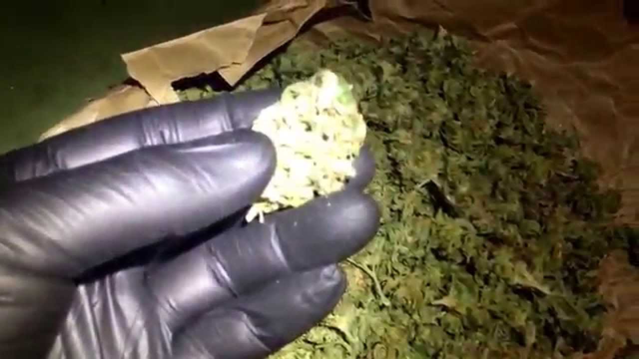 Sour d n kush nugs