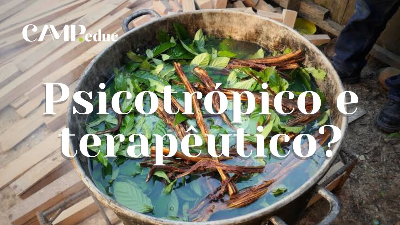 Ayahuasca: Cura ou perigo?