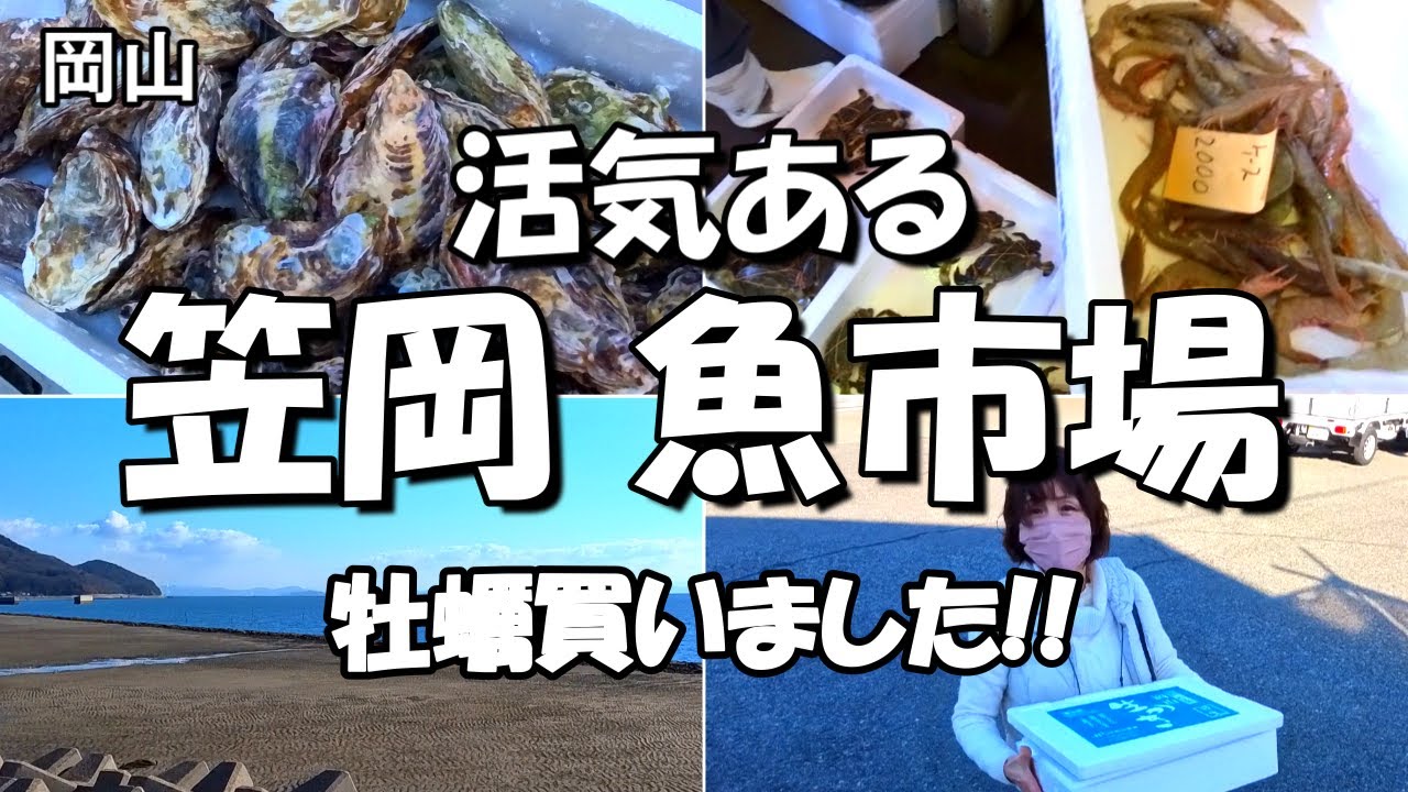 【笠岡】大島美の浜漁協 朝市は新鮮な魚であふれていました。