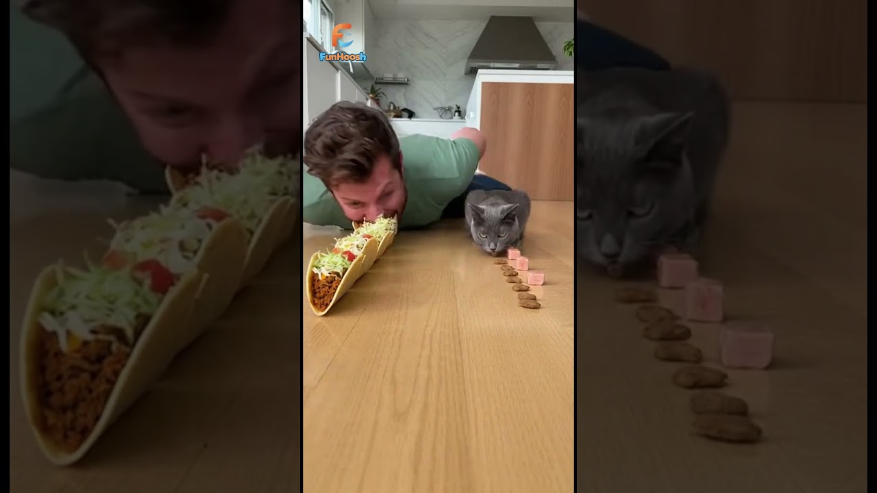 Taco Eating Race: Me vs My Cat 🌮😹 