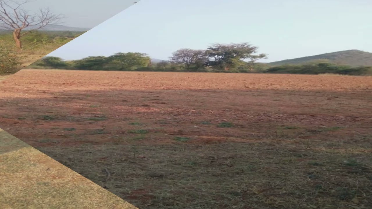 50 acres pure Red soil land for sale near Gundlepet