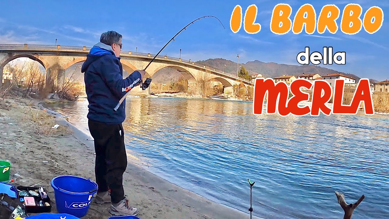 Il Barbo della Merla