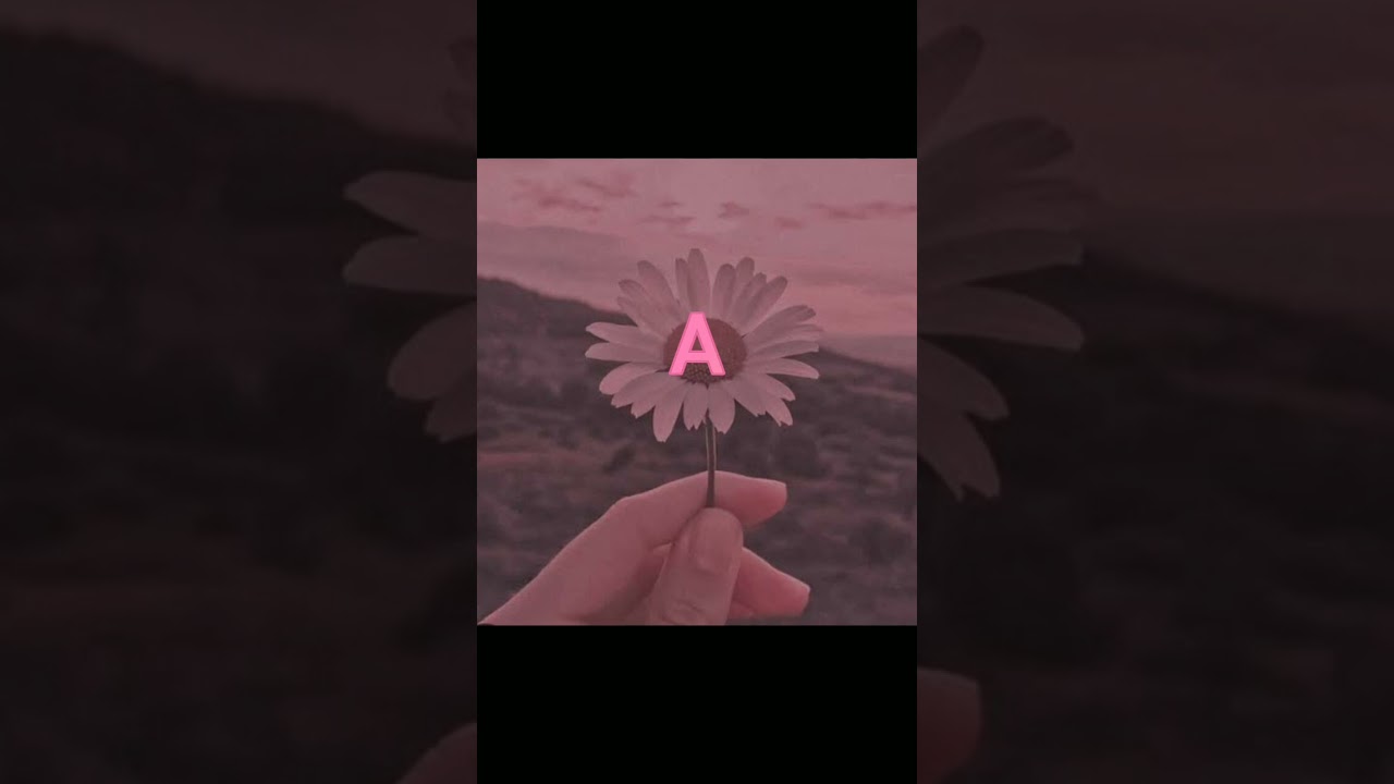 Cante se já gostou de algumas dessas iniciais (Tik Tok)