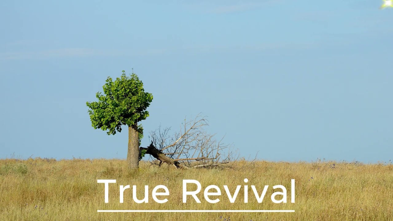 ✝️ The Heart of Revival | Biblical Principles for Genuine Spiritual Renewal