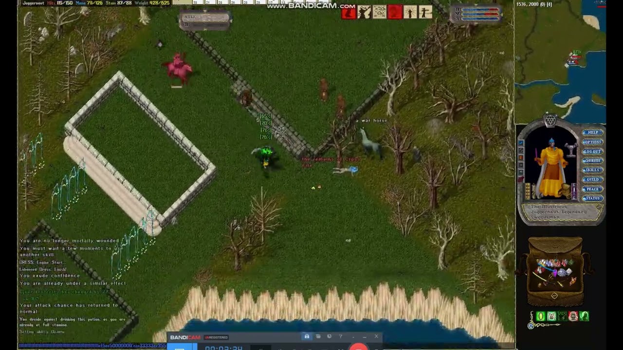 Ultima Online Demise PvP Kapero Ninja Atix vs FM