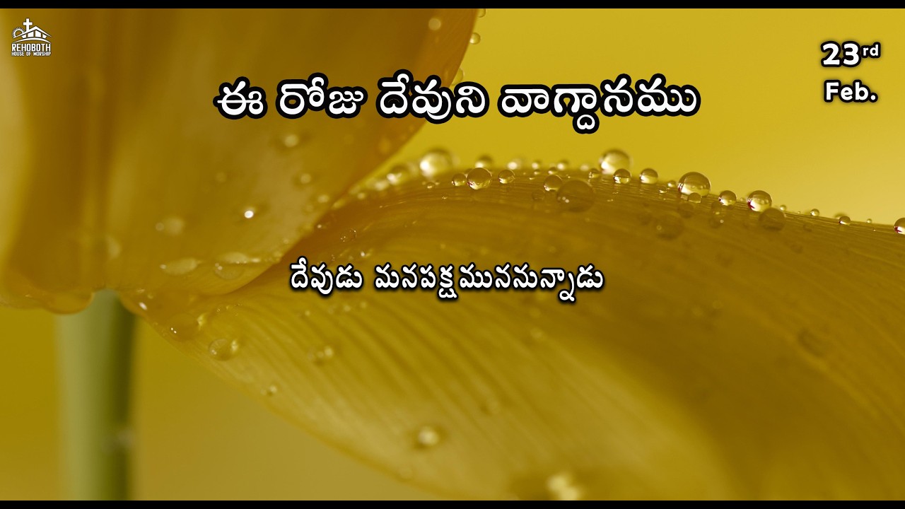 Today's Promise of God|| ఈ రోజు దేవుని వాగ్ధానము||Find Your Strength Today|| Encouraging Bible Verse