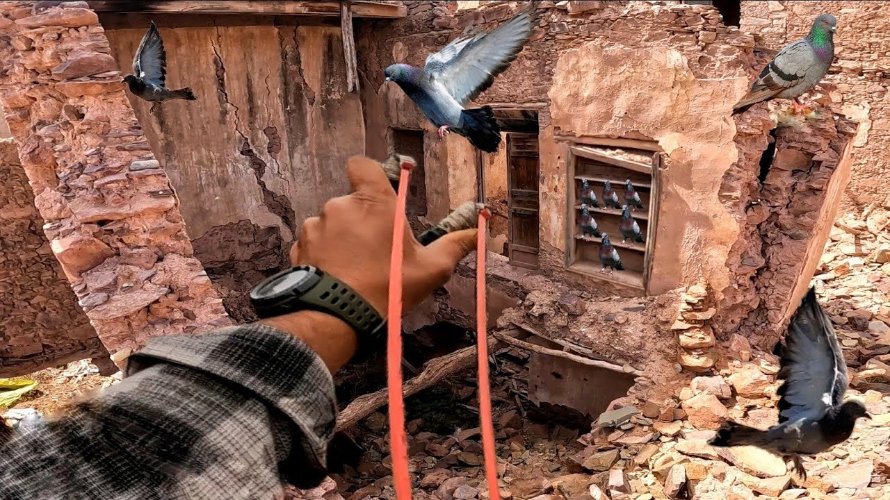 رحلة صيد الحمام البري 🕊️ وسط الخراب 😱