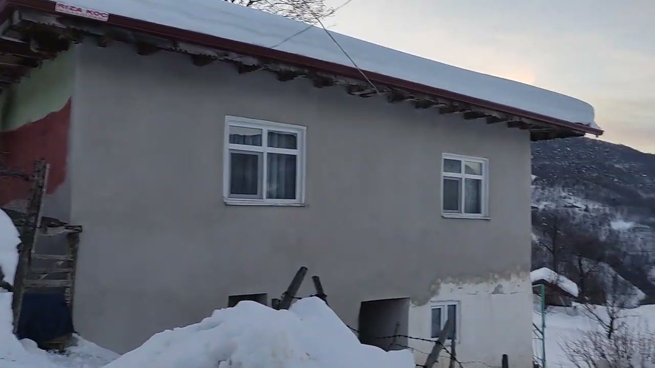 TOKAT  ALAN   ŞUBART ÇEKİM  YAPAN  BAYRAM  SAN  KÖY 2023(3)