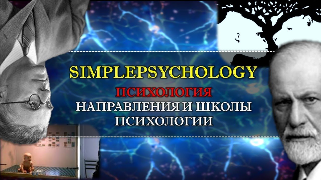 Психология. Направления и школы психологии.