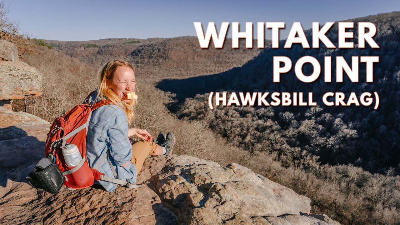 Whitaker Point // Hawksbill Crag // Arkansas December Hiking