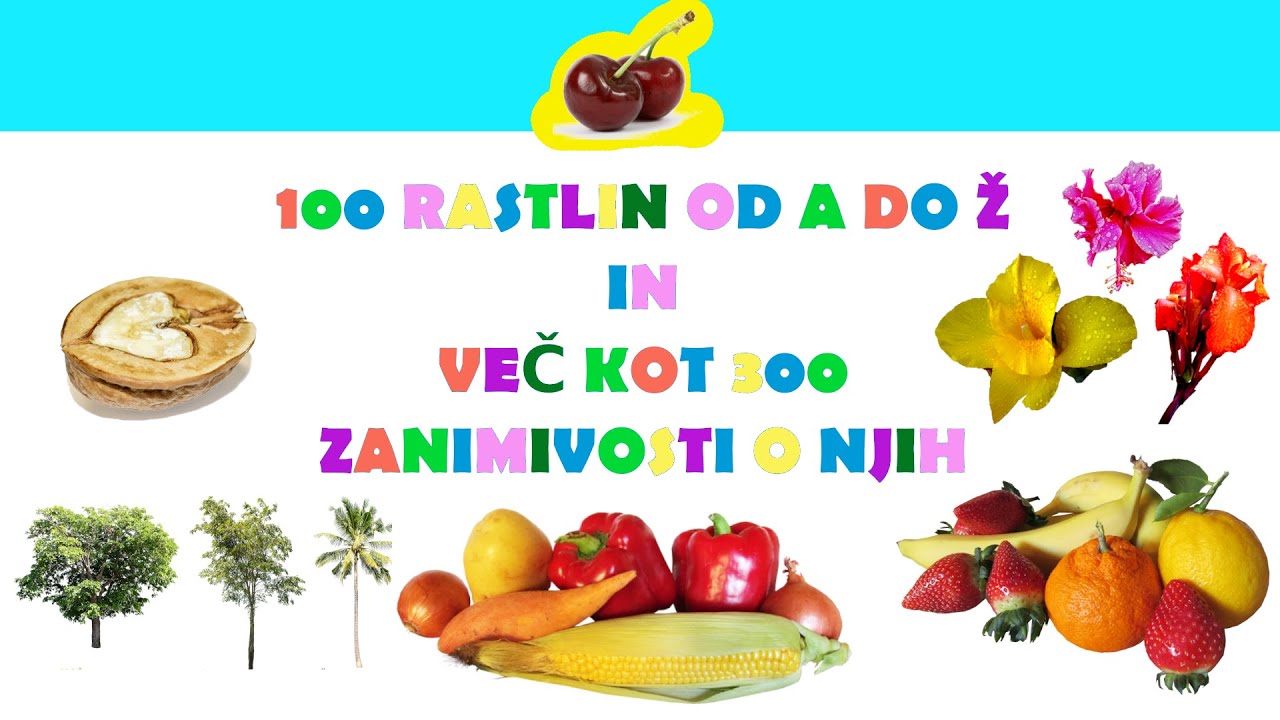 RASTLINE OD A DO Ž