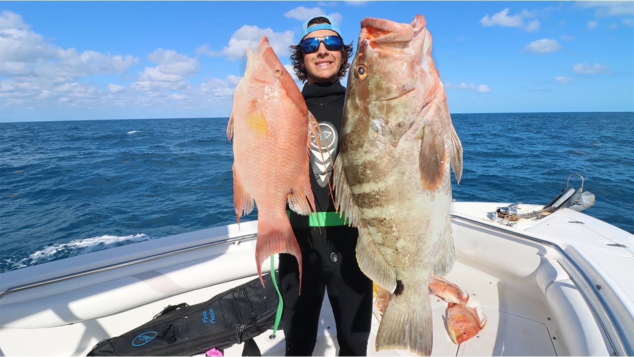 Giant Nassau Grouper and Hogfish CATCH CLEAN COOK (Bahamas Spearfishing)