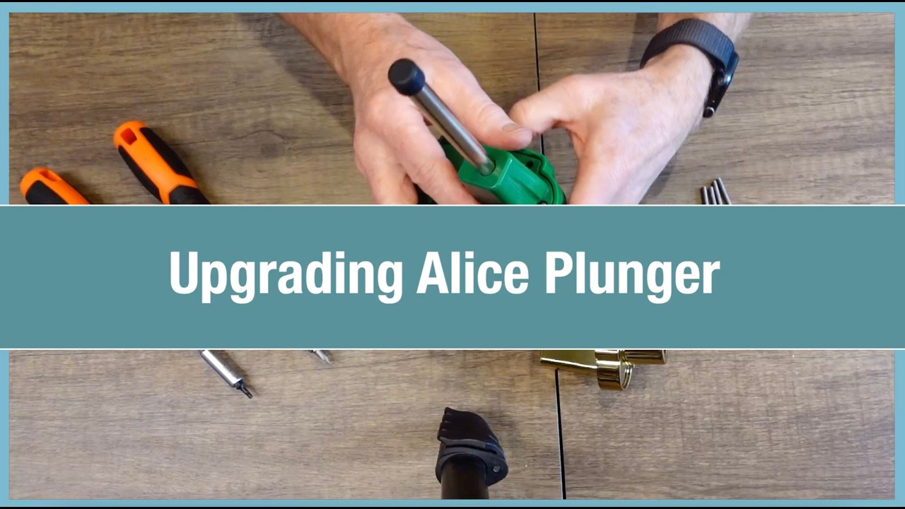 Alice Goes to Wonderland Plunger upgrade
