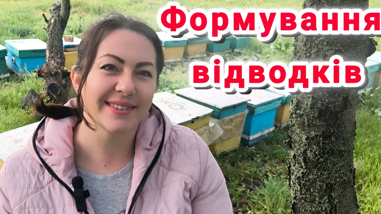 Однорамкові та дворамкові відводки. Як зробити відводок на одну або дві рамки. Формування відводків
