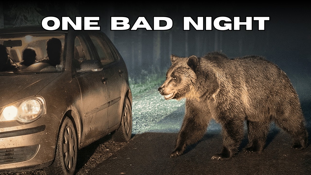 Inside A Bear Mauling | How One Sound Stopped A Predator