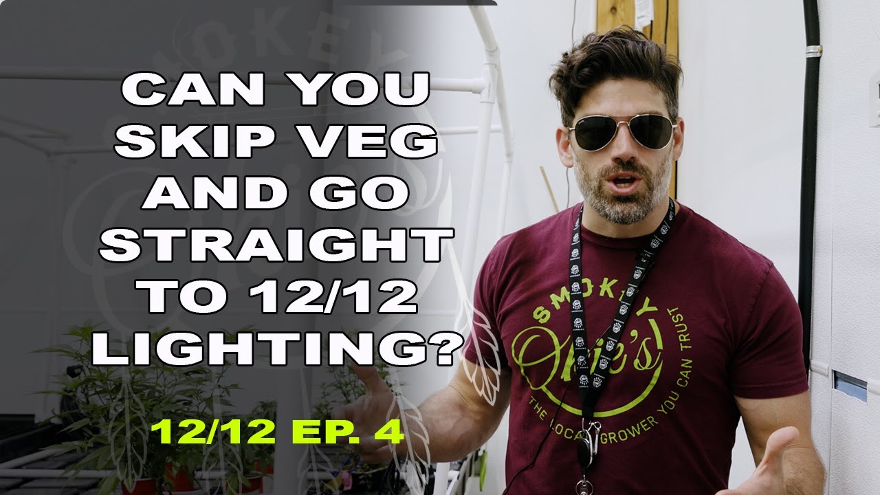 One week under 12/12 light cycle in a Red Solo Cup | Growing in Red Solo Cup, Ep. 4
