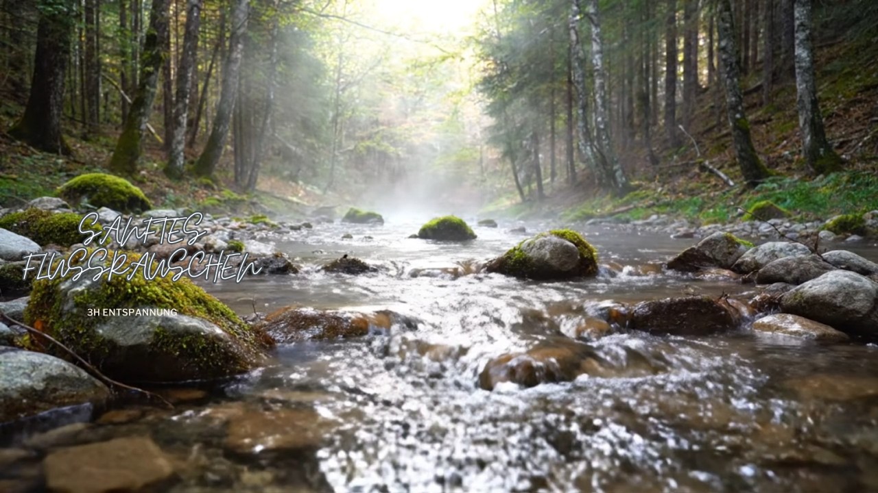 Lo-Fi Musik & Sanftes Flussrauschen 🌙 3 Stunden 2 Minuten Waldgeräusche zum Einschlafen