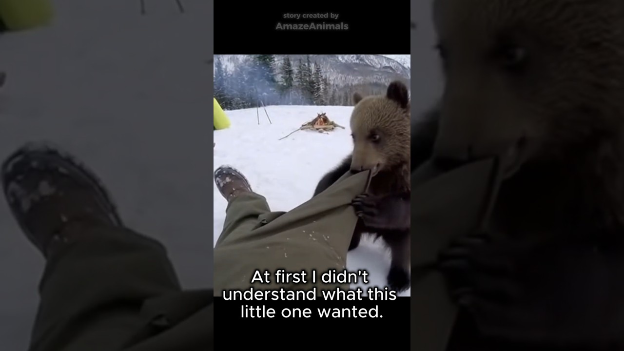 He Needed My Help Once&hellip; And Never Forgot.