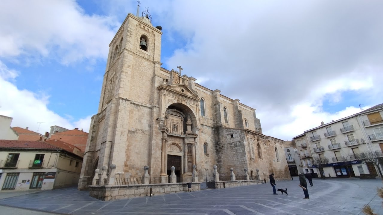 Roa de Duero