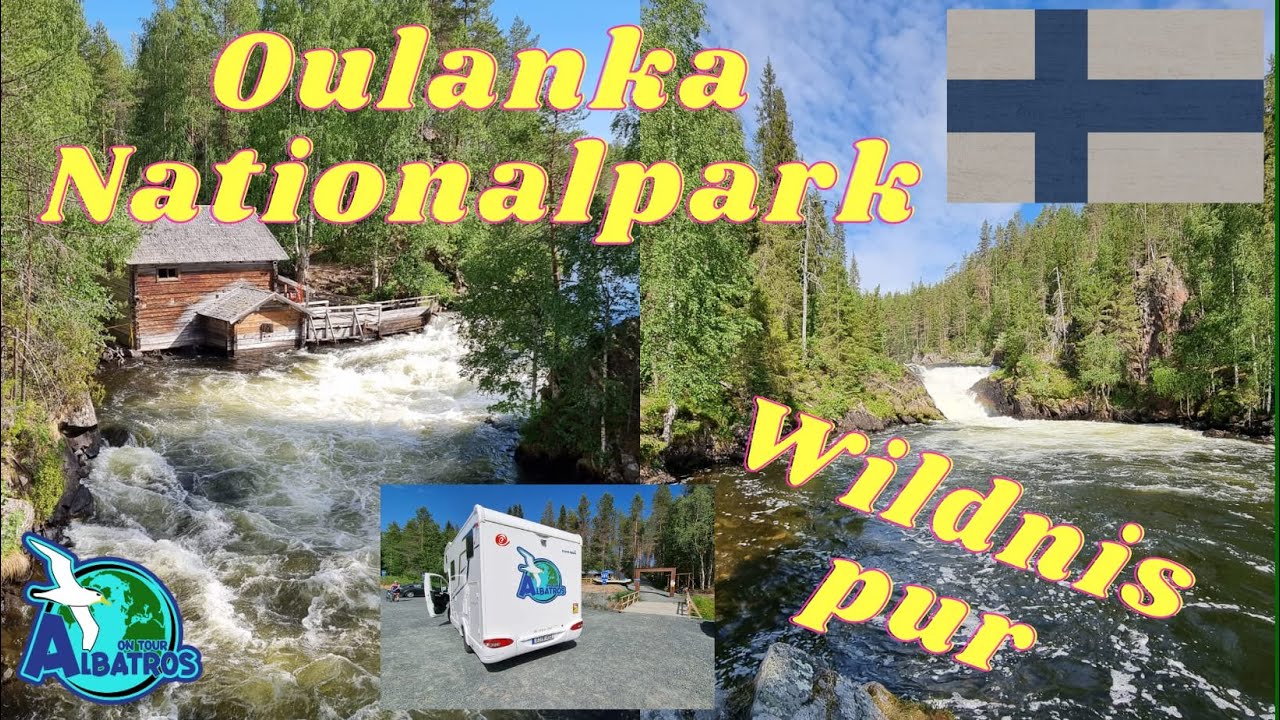 FINNLAND - Oulanka Nationalpark - Bären Trail  - Ala Juuma Camping / Wohnmobil, Kuusamo