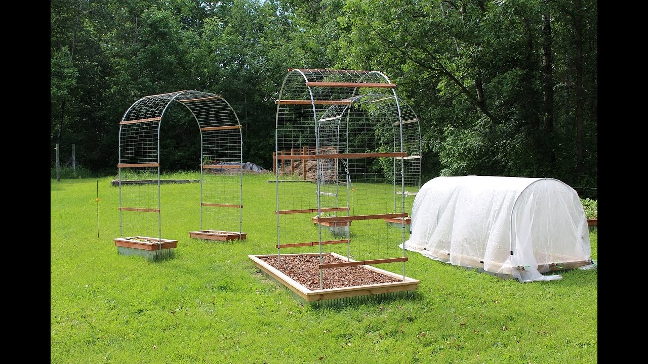 New Arbor Design