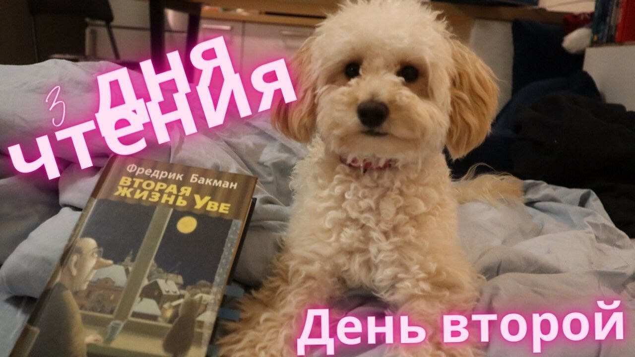Марафон 3×3|| Продолжаю читать самую милую книгу и пытаюсь собрать пазл☺️📚