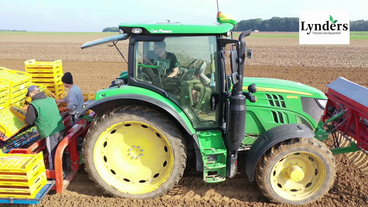Landwirt Lynders, der Salat
