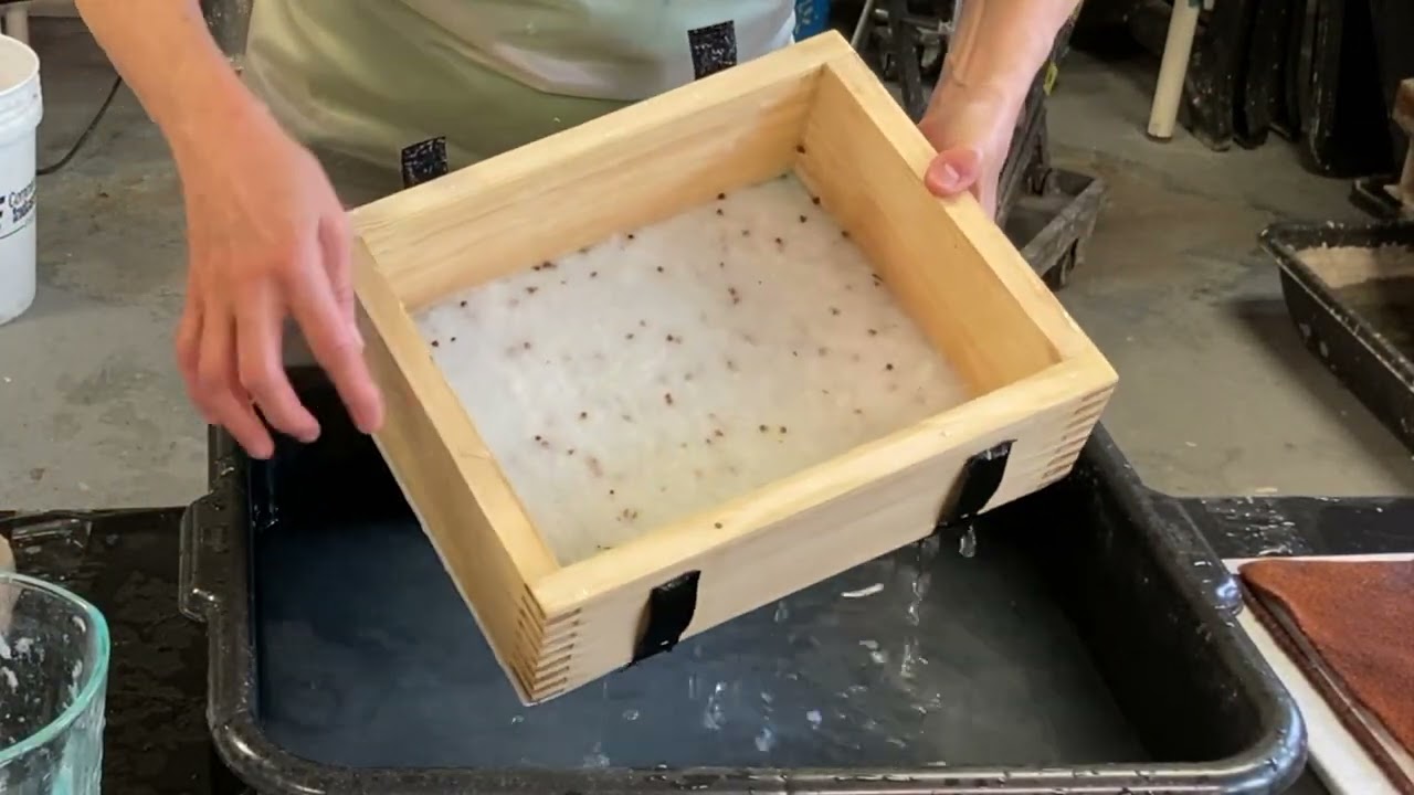 Papermaking Series: Inclusions