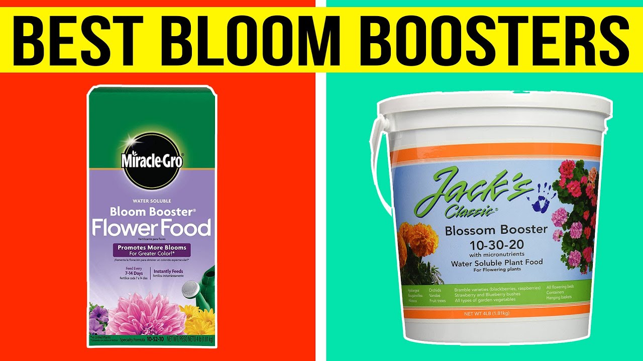 Top 5 Best Bloom Boosters