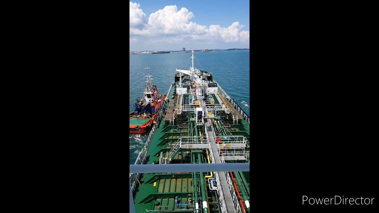 Marine Pilot On Duty Pilotage On Job Training