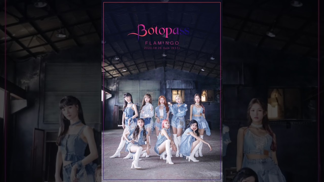 Botopass Flamingo - Topic of Korea