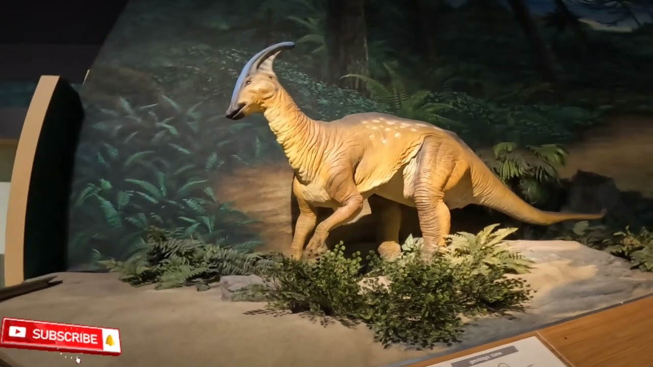 Dinosaur Pacific Science Center #museum  #dinosaur