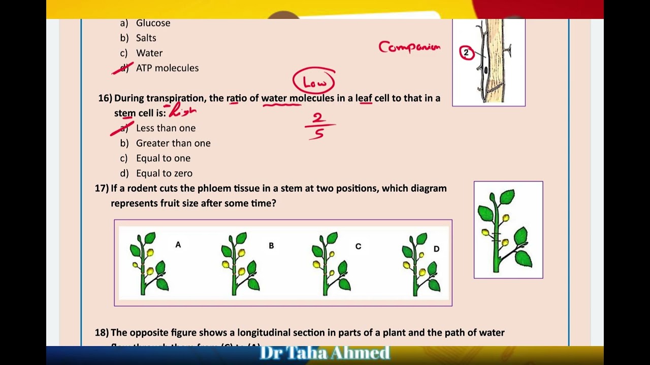 Integrated science: Lesson 2 (Senior 1) حل الواجب
