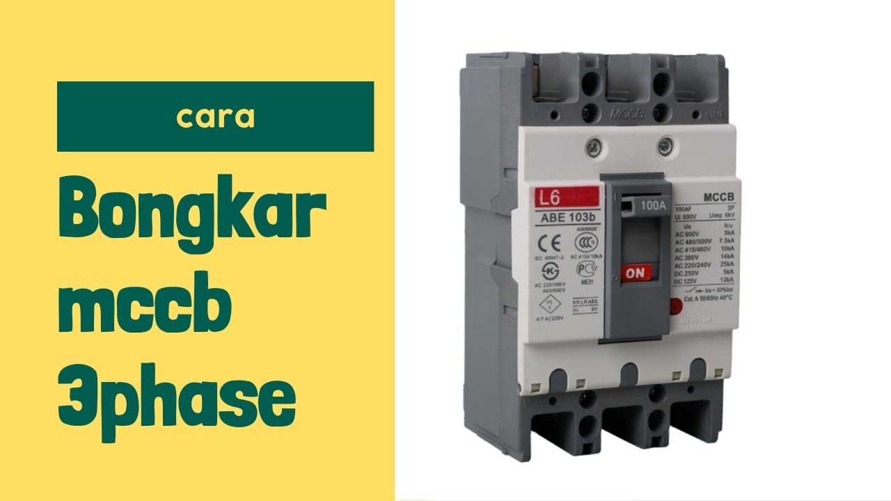 Bongkar mccb 3 phase