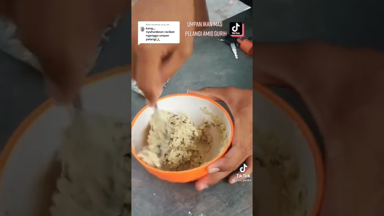 Racikan Amis Gurih umpan ikan mas mantul