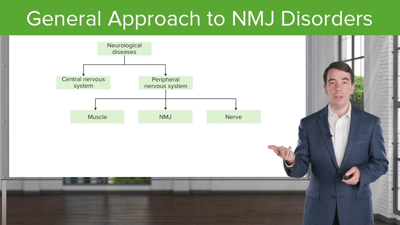 General Approach to Neuromuscular Junction Disorders &ndash; NMJ Disorders | Lecturio
