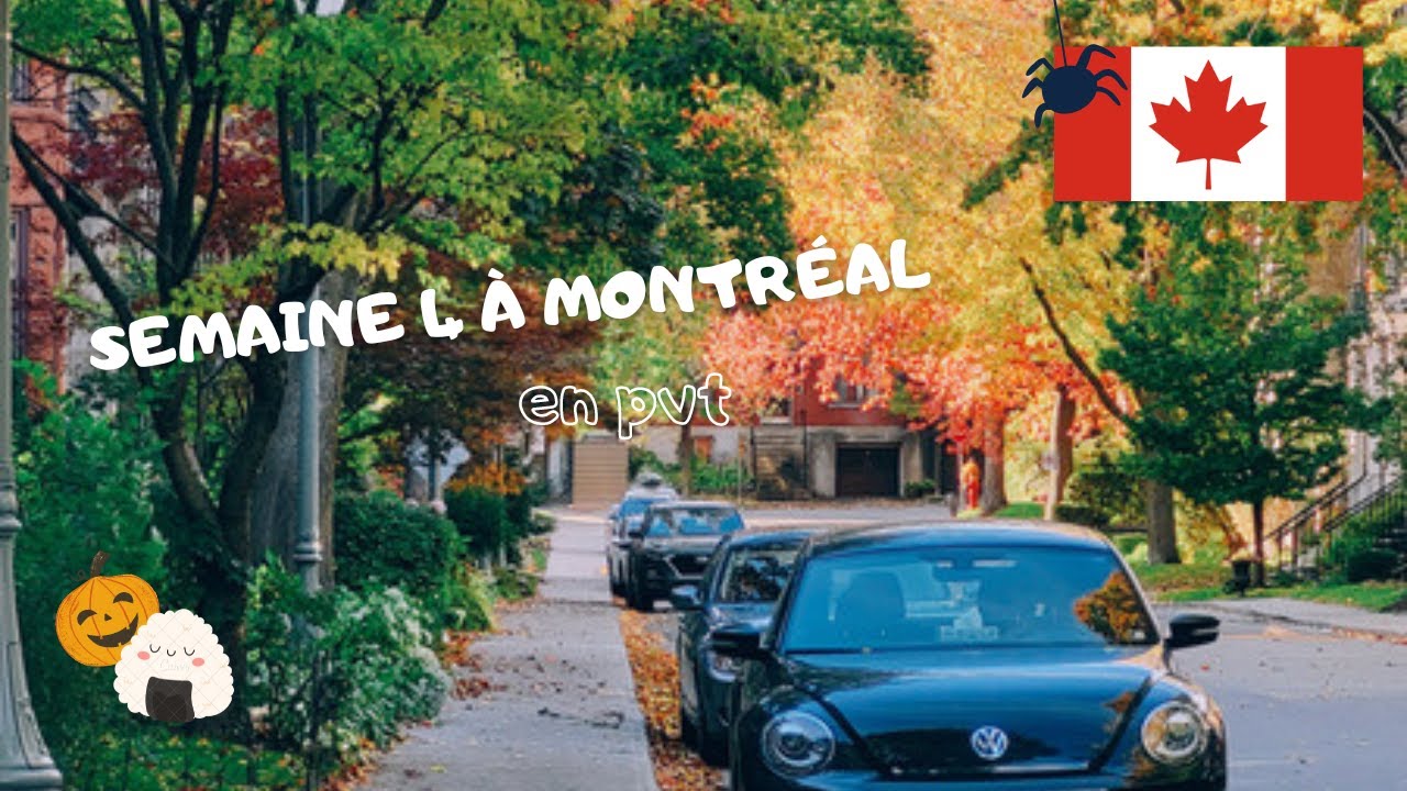 MON ARRIVÉE À MONTRÉAL - week 4 🥹