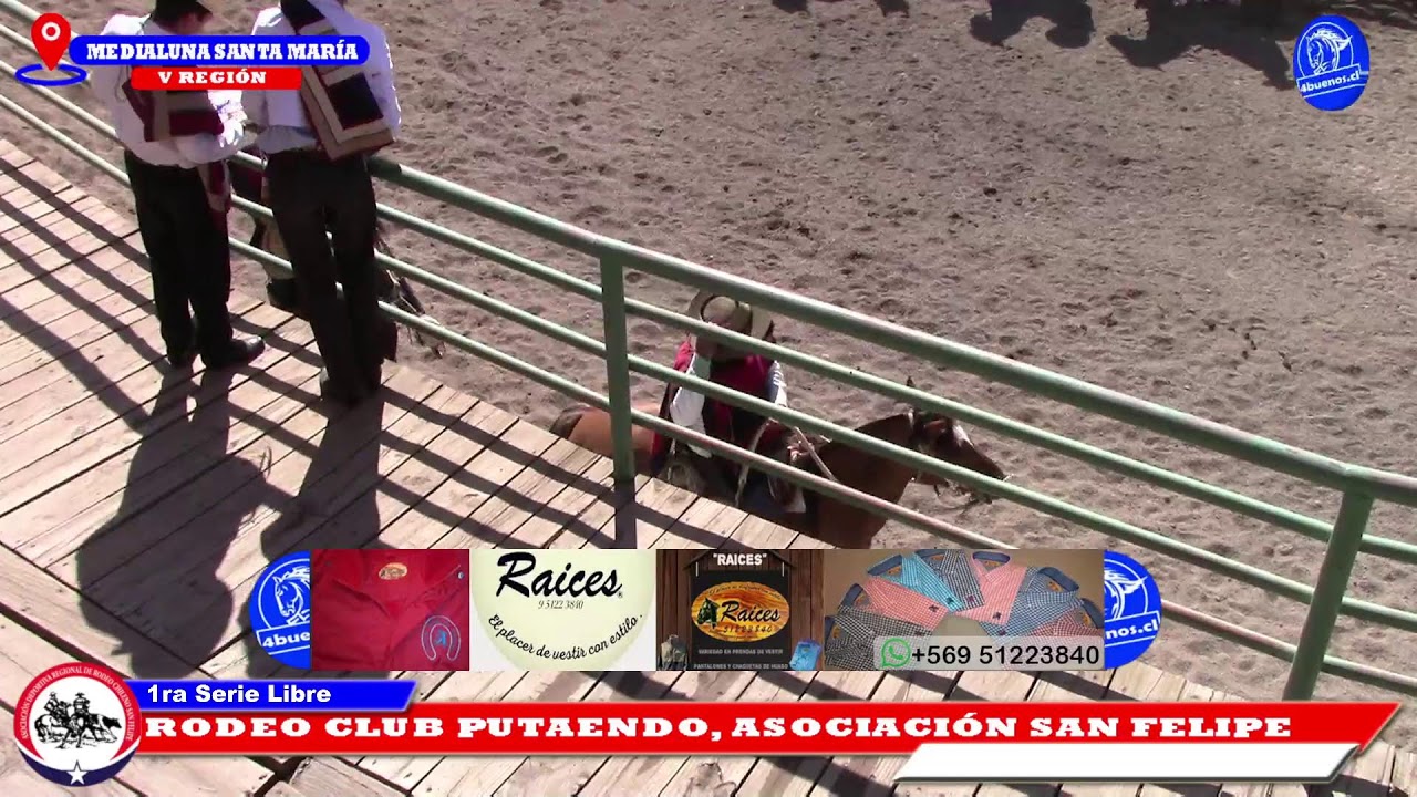 1RA SERIE LIBRE, RODEO CLUB PUTAENDO, ASOCIACIÓN SAN FELIPE, MEDIALUNA DE SANTA MARÍA
