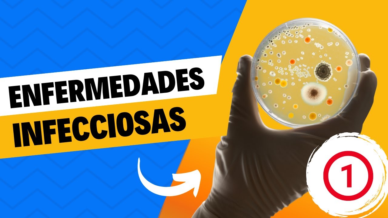 Enfermedades infecciosas - Parte 1 - Curso de patología 2024A