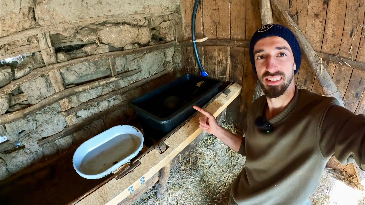 AM INSTALAT ADĂPĂTORI IEFTIN ȘI RAPID ÎN GRAJDUL VACUȚELOR